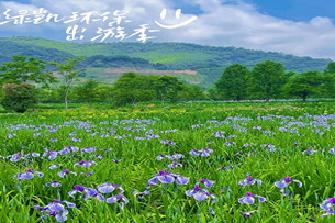 綠凱