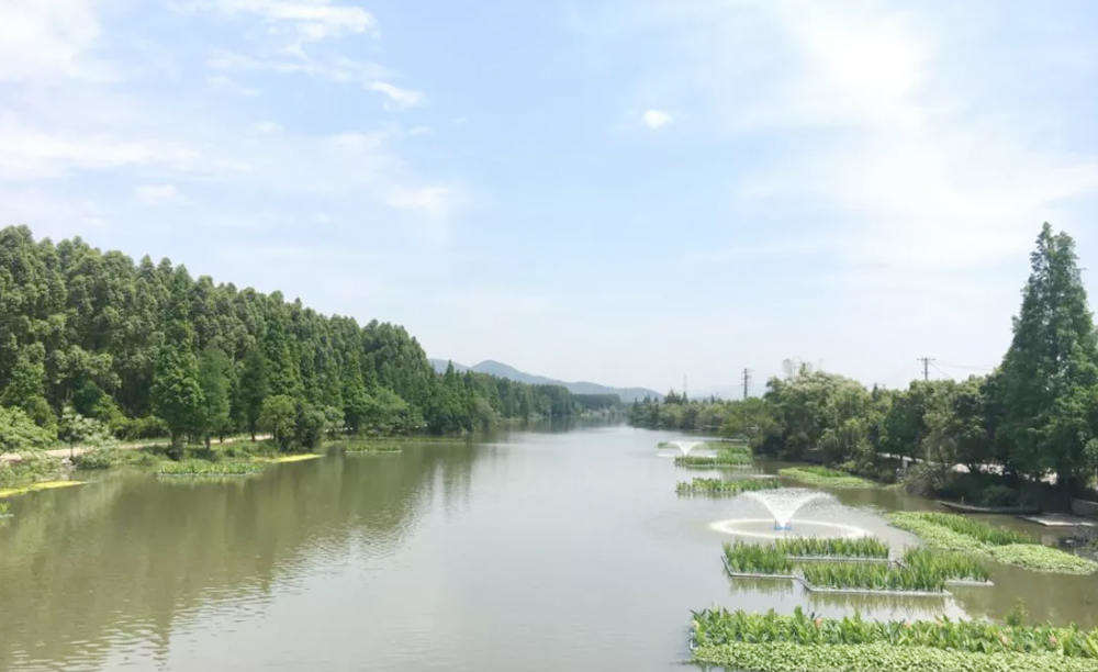 綠凱