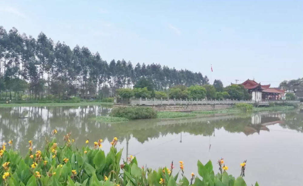 綠凱